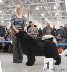 Превью фото № 24108