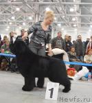 Превью фото № 24109