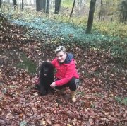 Превью фото № 241098