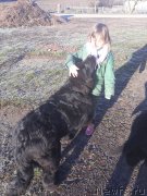 Превью фото № 241101