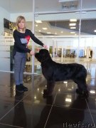 Превью фото № 241227