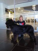 Превью фото № 241228