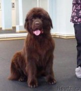 Превью фото № 241230