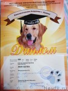 Превью фото № 241256