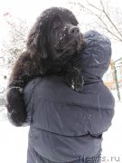 Превью фото № 241272