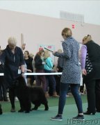 Превью фото № 241280