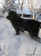 Превью фото № 241289