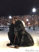 Превью фото № 241290