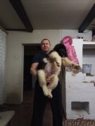 Превью фото № 241304