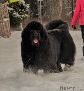 Превью фото № 241320