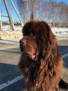 Превью фото № 241329