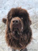 Превью фото № 241330