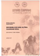 Превью фото № 241379