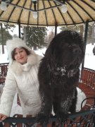 Превью фото № 241413