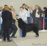 Превью фото № 24143