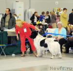 Превью фото № 24144