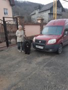 Превью фото № 241455