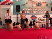 Превью фото № 241464