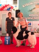 Превью фото № 241468