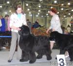 Превью фото № 24148