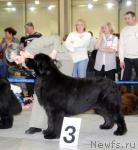 Превью фото № 24149