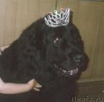 Превью фото № 2415