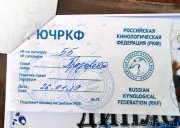 Превью фото № 241519