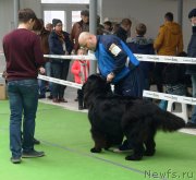 Превью фото № 241522