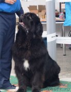 Превью фото № 241524