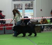 Превью фото № 241526