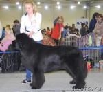 Превью фото № 24154