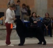 Превью фото № 241550