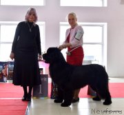 Превью фото № 241553