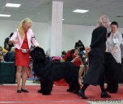 Превью фото № 241554