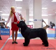 Превью фото № 241557