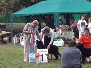 Превью фото № 241560