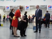 Превью фото № 241561