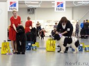 Превью фото № 241562