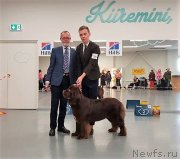 Превью фото № 241564