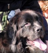 Превью фото № 241569