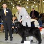 Превью фото № 24157