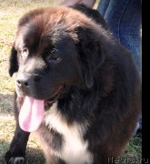 Превью фото № 241570