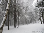 Превью фото № 241615