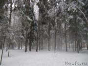 Превью фото № 241618