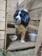 Превью фото № 241624