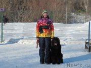 Превью фото № 241644