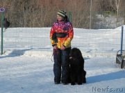 Превью фото № 241645