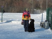 Превью фото № 241647