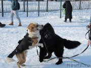 Превью фото № 241649