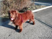 Превью фото № 241662